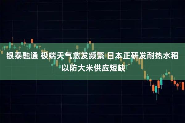 银泰融通 极端天气愈发频繁 日本正研发耐热水稻 以防大米供应短缺
