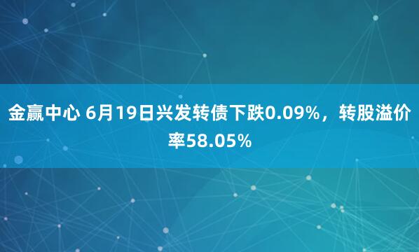 金赢中心 6月19日兴发转债下跌0.09%，转股溢价率58.05%
